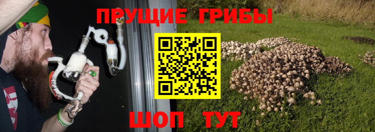 Псилоцибиновые грибы Psilocybe  Псилоцибиновые грибы Psilocybine cubensis  Малоярославец  Вход с VPN 