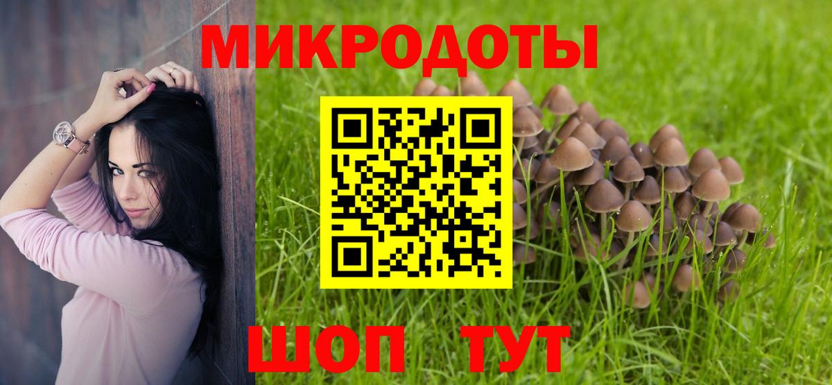 Галлюциногенные грибы Cubensis Малоярославец